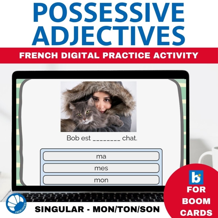 French Possessive adjectives mon/ma/mes ton/ta/tes son/sa/ses Boom cards review