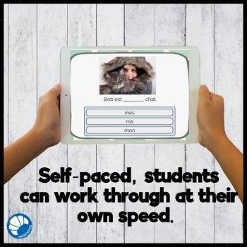 French Possessive adjectives mon/ma/mes ton/ta/tes son/sa/ses Boom cards review, image 3
