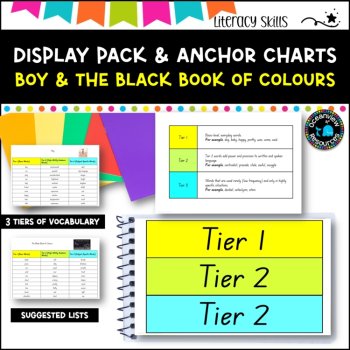 Unit 13- Stage 1: DISPLAY PACK- BOY& THE BLACK BOOK OF COLOURS, and anchor chart, image 2