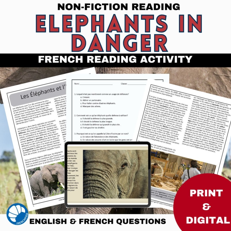 French Elephant Reading Comprehension | Conservation and Ivory Trade