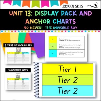 Unit 13:NSW DET Unit Display pack-NO NEVER! & THE INVISIBLE BOY, image 2