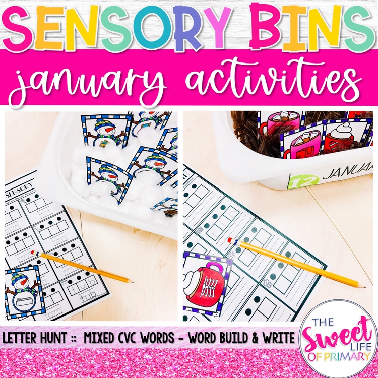 Sensory Bin Activities | January