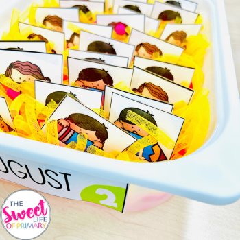 Sensory Bin Activities | August, image 3