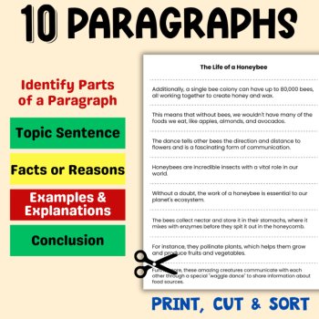 Paragraph Puzzles Bundle: Organize Scrambled Sentences Writing Activities, image 2