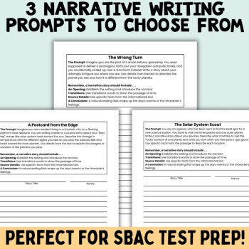 Narrative Writing Mini Performance Task ELA SBAC Test Prep Gr. 3-6: SPACE, image 3