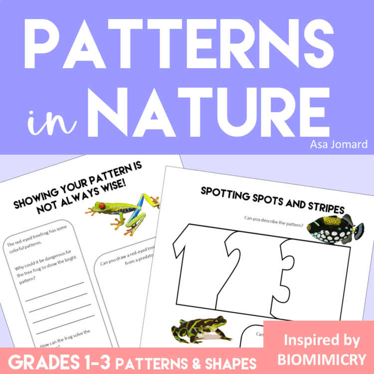 Explore Patterns & Shapes in Nature | Engaging Activities Inspired by Biomimicry