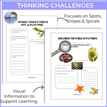 Explore Patterns & Shapes in Nature | Engaging Activities Inspired by Biomimicry, image 3