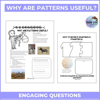 Explore Patterns & Shapes in Nature | Engaging Activities Inspired by Biomimicry, image 4
