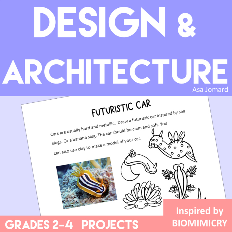 Engaging Architecture and Design Projects | Creative Biomimicry Adventures