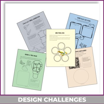 Engaging Architecture and Design Projects | Creative Biomimicry Adventures, image 4