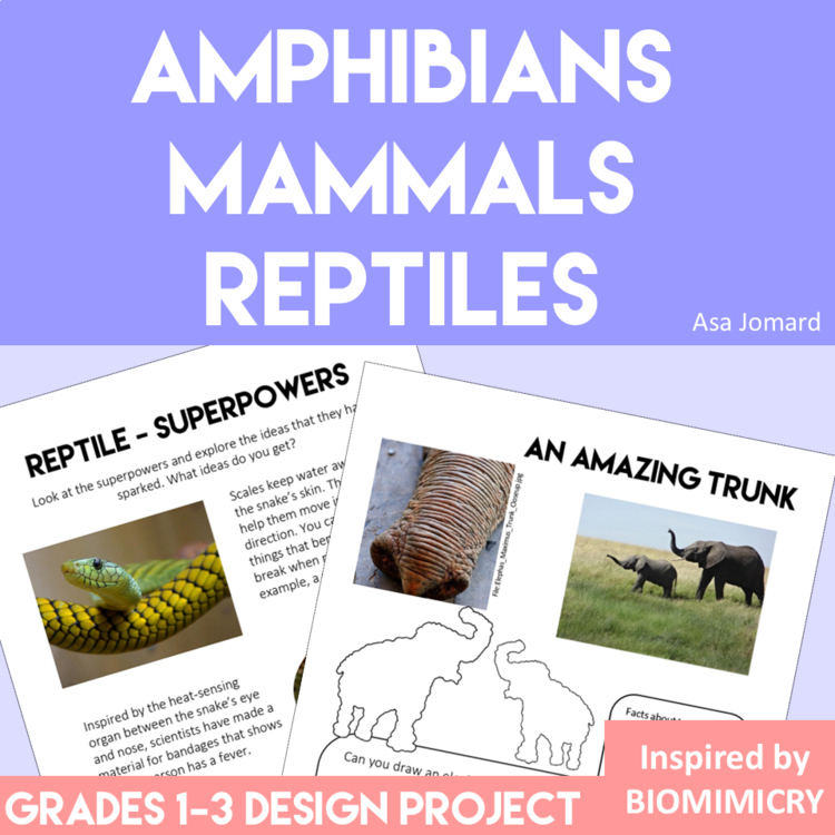 Engaging Animal Science Activities | Inspiring Biomimicry Design Projects