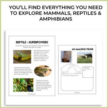 Engaging Animal Science Activities | Inspiring Biomimicry Design Projects, image 2