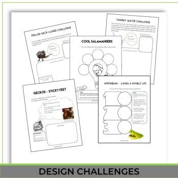 Engaging Animal Science Activities | Inspiring Biomimicry Design Projects, image 4