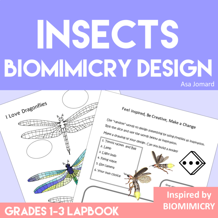Inspiring Insect Project with Lapbook Activities | Fun Biomimicry Adventure