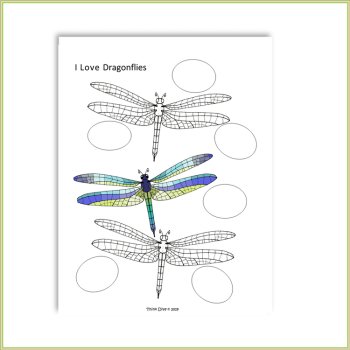 Inspiring Insect Project with Lapbook Activities | Fun Biomimicry Adventure, image 3
