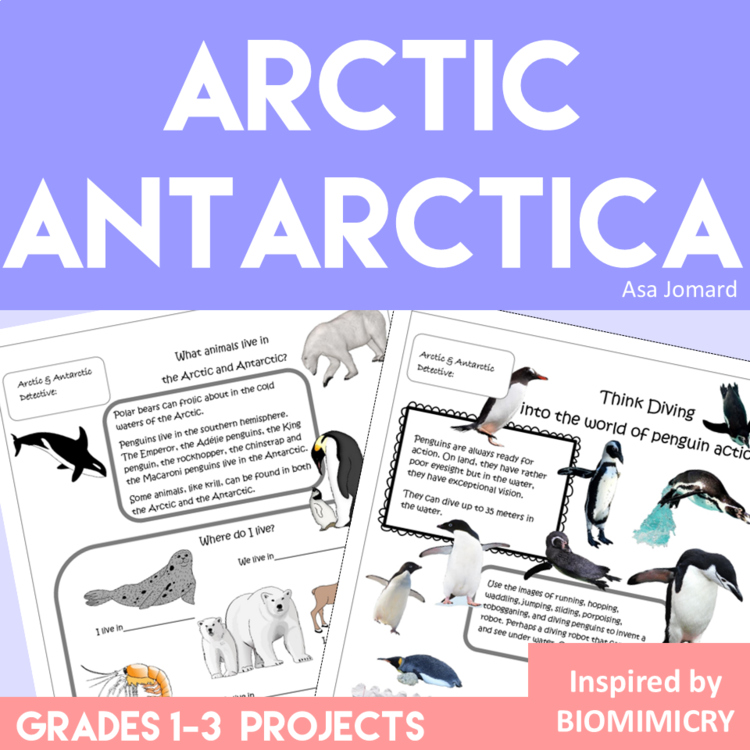 Inspiring Arctic and Antarctic Activities |  Engaging Biomimicry Design Project