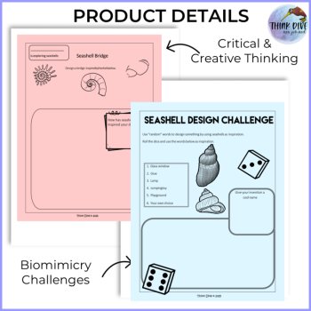 Seashells Project | Biomimicry Design Activities with Craft, image 3
