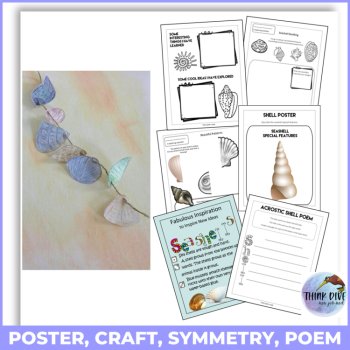 Seashells Project | Biomimicry Design Activities with Craft, image 4
