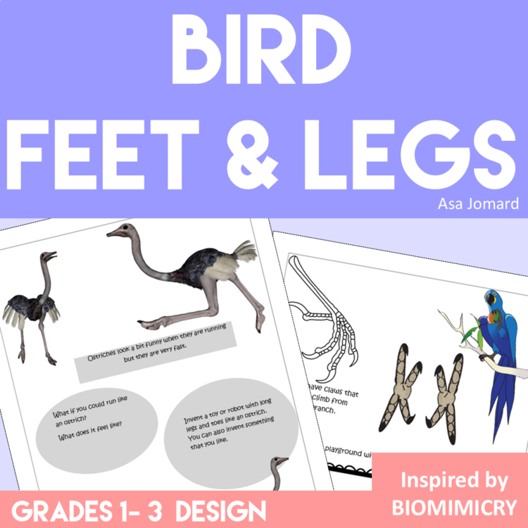 Bird Feet & Legs | Creative Biomimicry Design and Montessori-Inspired Activities