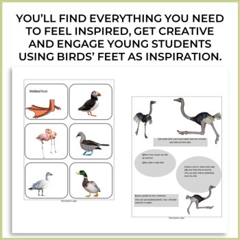 Bird Feet & Legs | Creative Biomimicry Design and Montessori-Inspired Activities, image 2