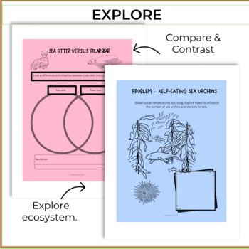 Sea Otters & Kelp Forests | Ecosystem, Blue Carbon & Creative Science |  2-4, image 3