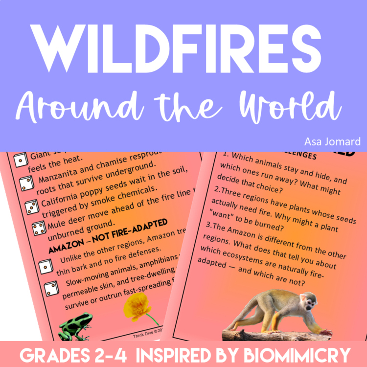 Wildfires Around the World |  Biomimicry Posters & STEAM Design Challenges