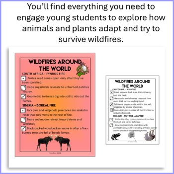 Wildfires Around the World |  Biomimicry Posters & STEAM Design Challenges, image 2
