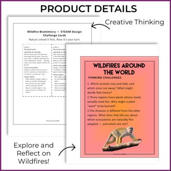 Wildfires Around the World |  Biomimicry Posters & STEAM Design Challenges, image 3