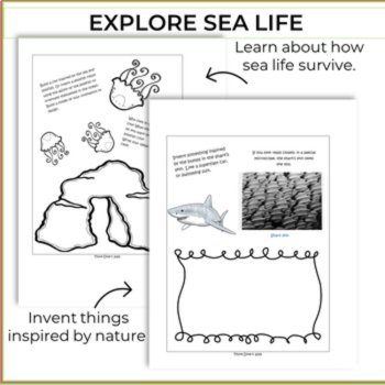 Bundle Math Steam Writing | Ocean Animal-Themed Grade 3, image 2