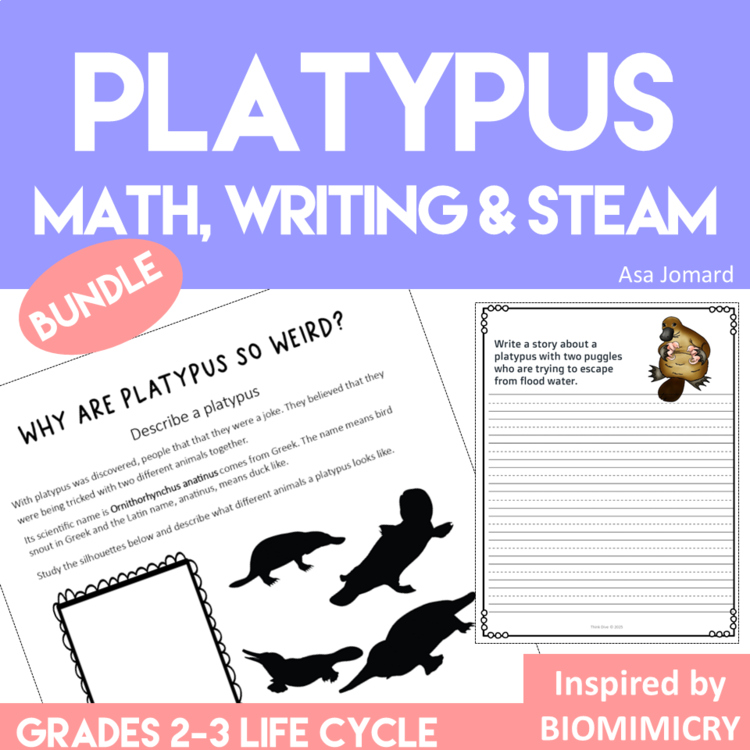 Platypus Math Writing Steam Bundle