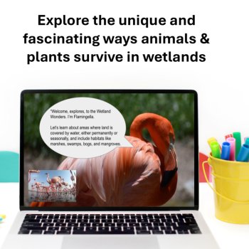 Engaging Wetlands Google Slides | Animal, Plant Adaptation for Google Classroom™, image 2