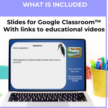 Engaging Wetlands Google Slides | Animal, Plant Adaptation for Google Classroom™, image 3