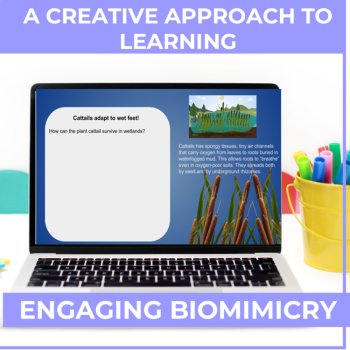 Engaging Wetlands Google Slides | Animal, Plant Adaptation for Google Classroom™, image 4