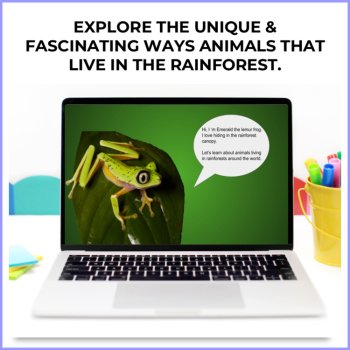 Engaging Rainforest Google Slides | Animal Adaptation for Google Classroom™, image 2