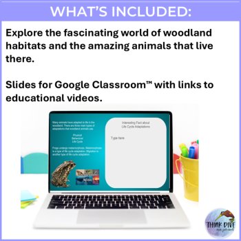 Woodland Google Slides and Printable Design Resources | Google Classroom™ Bundle, image 4