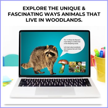 Engaging Woodland Activities Bundle | Google Classroom™ and Printable Resources, image 2