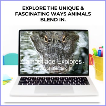 Engaging Camouflage Google Slides | Adaptation and Mimicry for Google Classroom™, image 2