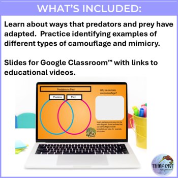 Engaging Camouflage Google Slides | Adaptation and Mimicry for Google Classroom™, image 3