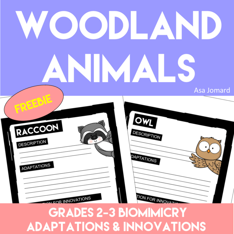 Woodland Animals Writing FREEBIE | Adaptations and Innovations