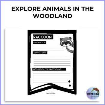 Woodland Animals Writing FREEBIE | Adaptations and Innovations, image 2