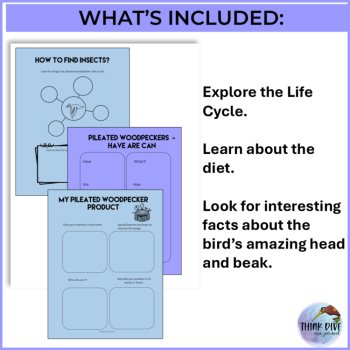 Woodpecker Life Cycle FREEBIE, image 3