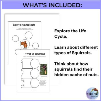 Engaging Squirrel Life Cycle FREEBIE, image 3