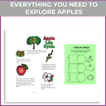 Unique Back to School Math and Science Bundle | Creative Science and Biomimicry, image 4