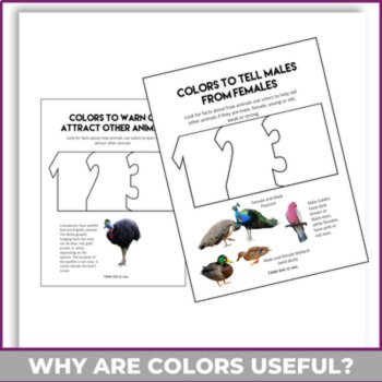 Unique Back to School Science and Math Bundle | Design and Creative  Science, image 4