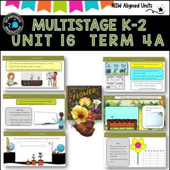 WHAT'S INSIDE THE FLOWER Multi-Stage K-2 Unit 16 comp B ENGLISH TERM 4B NSW DET, image 3