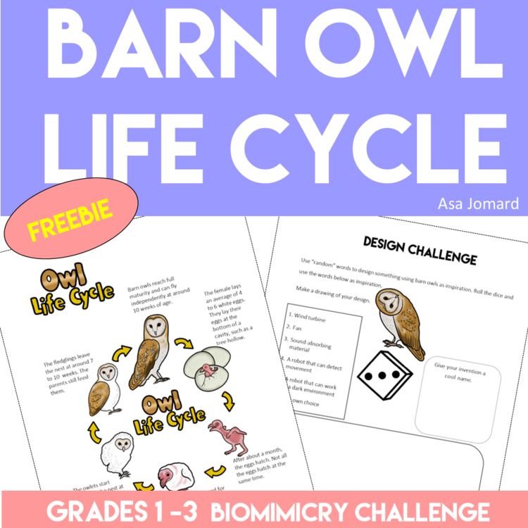 Explore Barn Owl FREEBIE | Life Cycle and Biomimicry Design Adventure