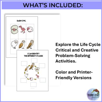 Explore Barn Owl FREEBIE | Life Cycle and Biomimicry Design Adventure, image 3