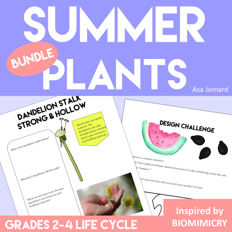 Summer Plants Activities Bundle | Life Cycle | Biomimicry Challenges and Craft