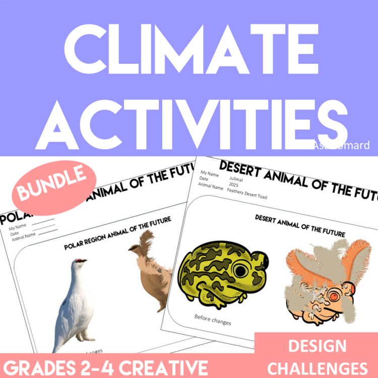 Engaging and Creative Design Activities on Climate Change