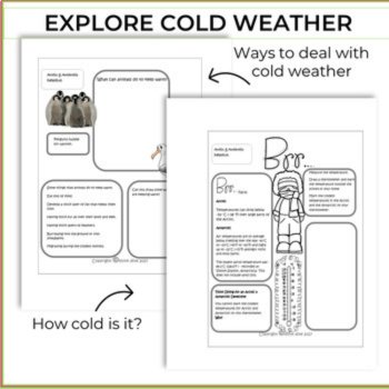 Explore Arctic and Antarctica Activities Bundle | Biomimicry and Design, image 4